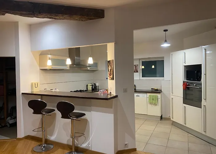 Eleganse, Maison Spacieuse, Proche De Lyon Apartment