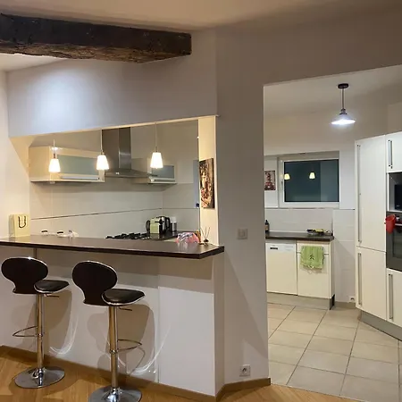 Eléganse, Maison Spacieuse, Proche De Lyon Appartement